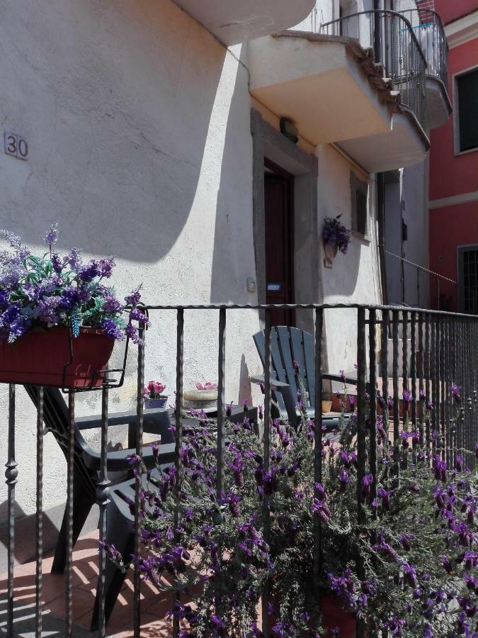 Ferienwohnung Il Palazzetto Sulla Francigena Formello Exterior foto