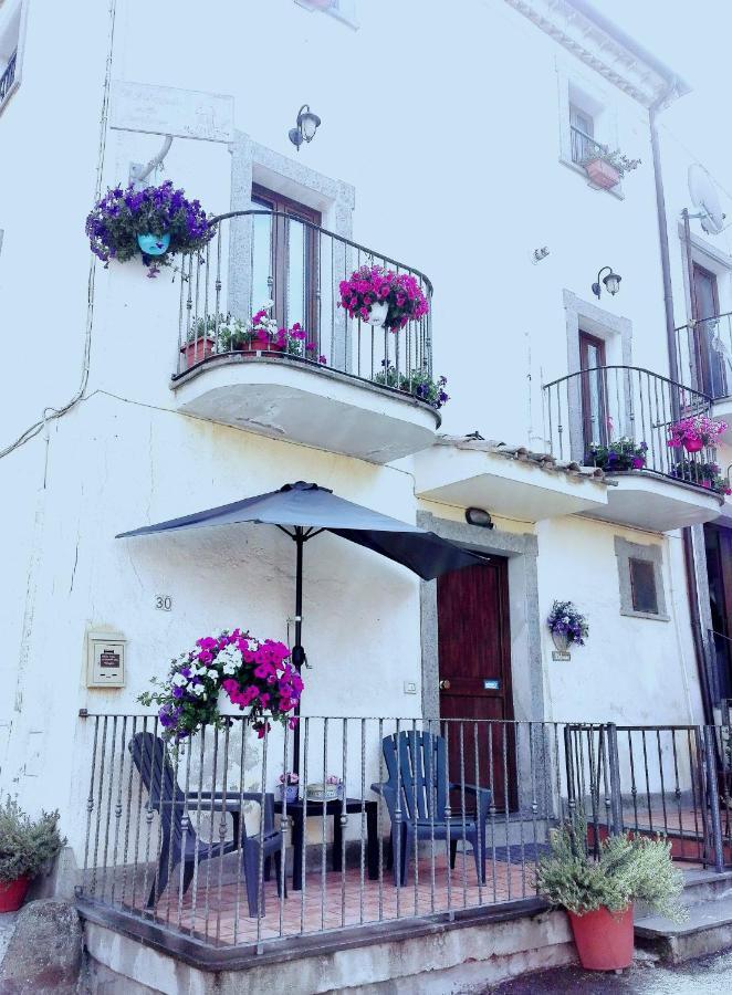 Ferienwohnung Il Palazzetto Sulla Francigena Formello Exterior foto